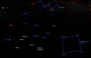 Hamal (Alpha Arietis): Star Type, Name, Location, Constellation | Star ...