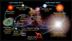 stellar evolution, life cycles of stars