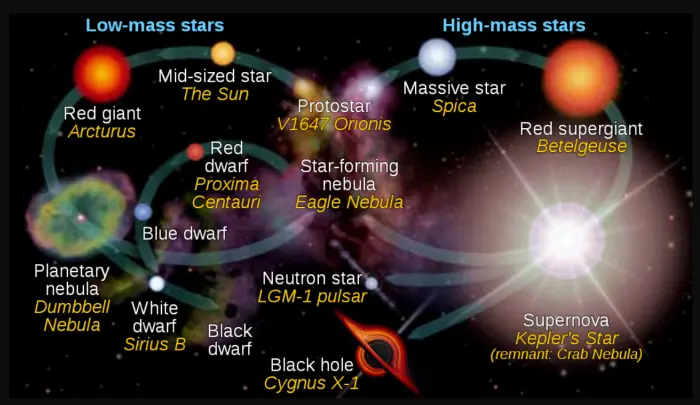 phases of stars nasa